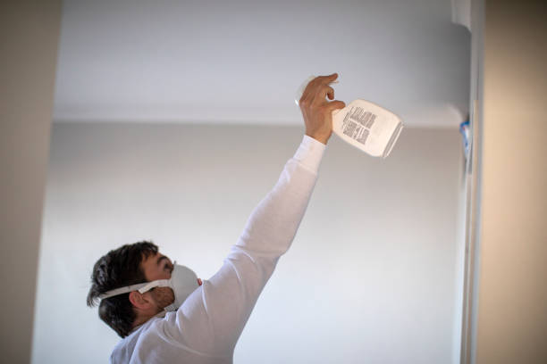 Best Mold Remediation Experts  in New Town, ND