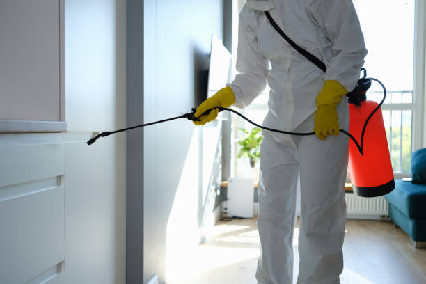 Best Toxic Mold Removal  in New Town, ND